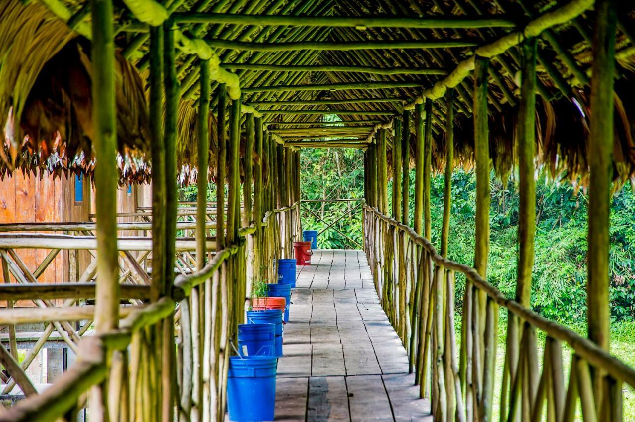 Amazon Muyuna Lodge - All Inclusive Paraíso Dış mekan fotoğraf