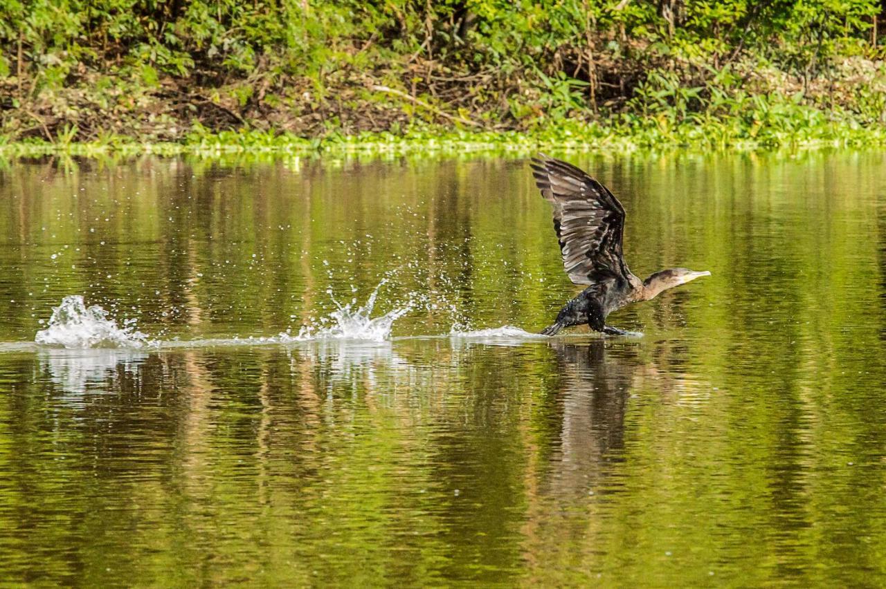 Amazon Muyuna Lodge - All Inclusive Paraíso Dış mekan fotoğraf