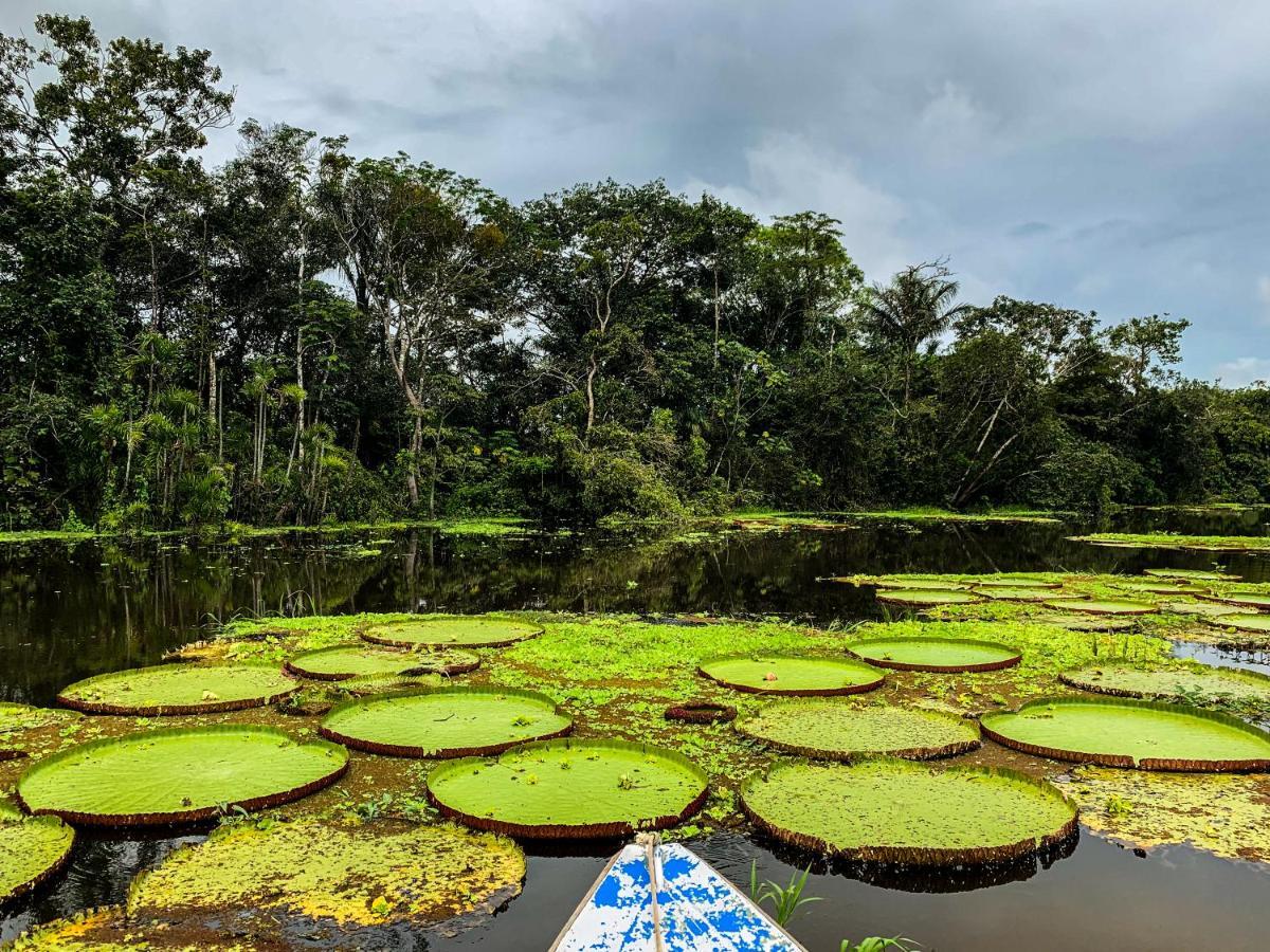 Amazon Muyuna Lodge - All Inclusive Paraíso Dış mekan fotoğraf
